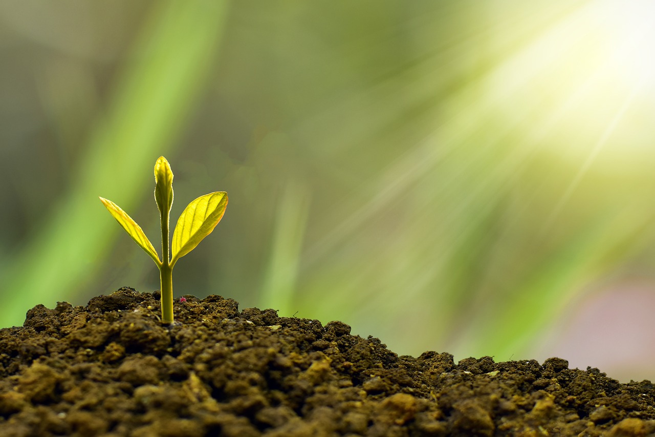 Botanical,Pesticide,Registration,China,Plant,Data,Requirements